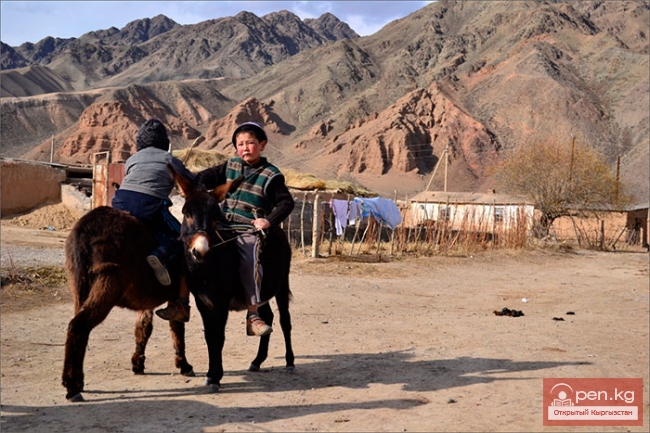 Сельское хозяйство Кыргызстана