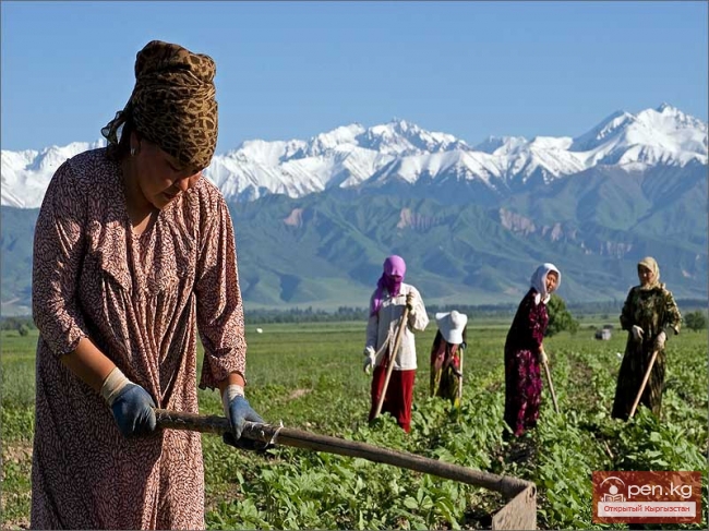 Сельское хозяйство Кыргызстана