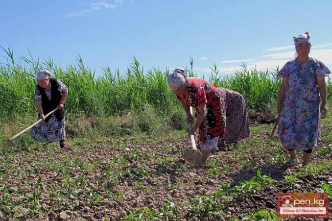 Сельское хозяйство Кыргызстана