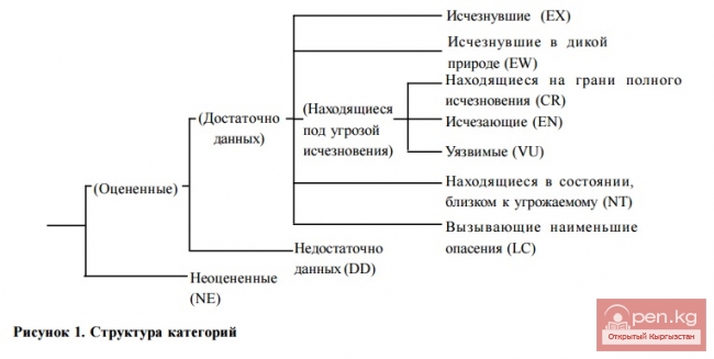 Красная книга Кыргызской Республики