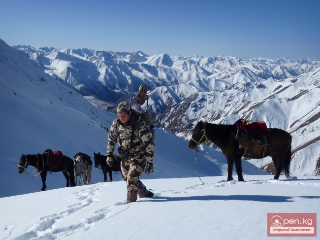Подготовка к охоте в Киргизии