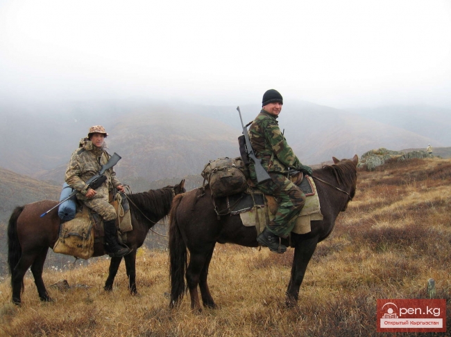 Лошади для охоты