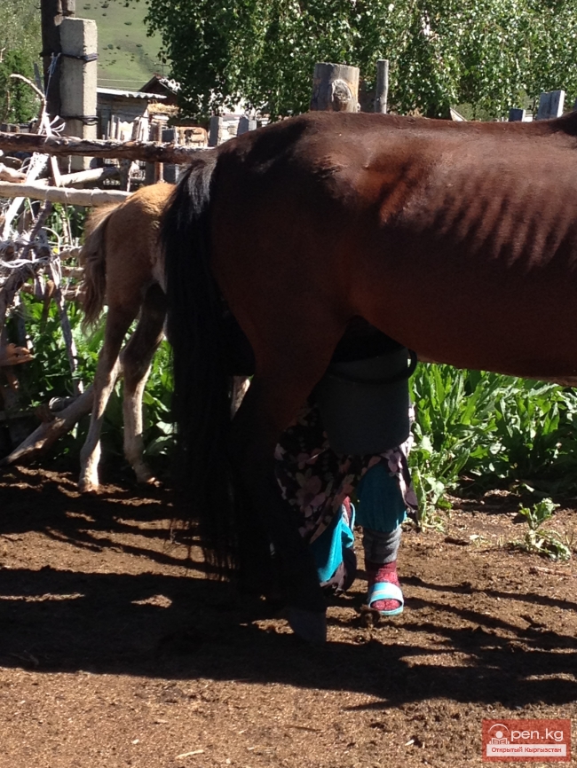 Кумысолечение в Жыргалане