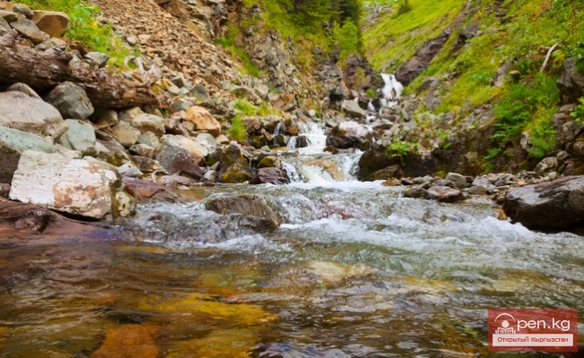 Йодобромные воды