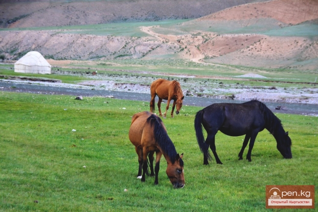 История хозяйства южных киргизов XIX века