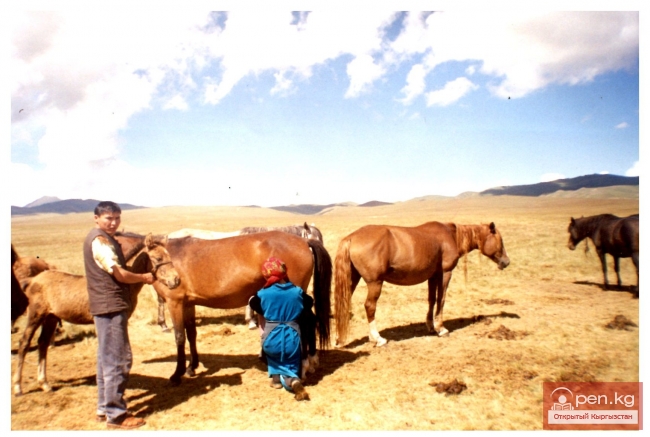 Сельское хозяйство южных кыргызов в 19 - начале 20 вв.