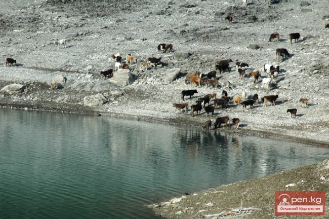 Озеро Кара-Суу