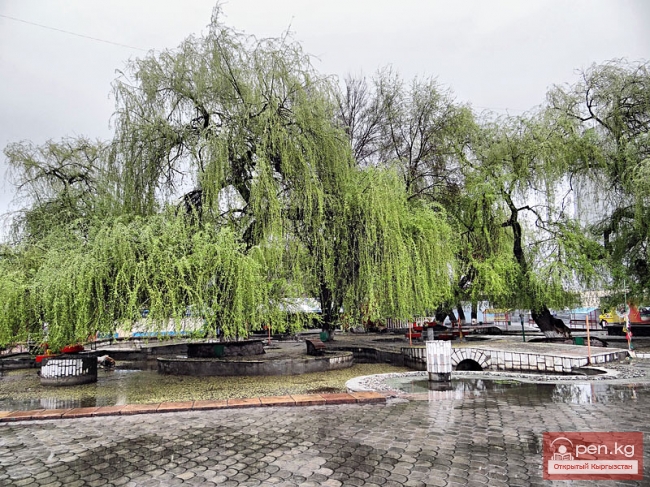 ЦУМ "Айчурек"