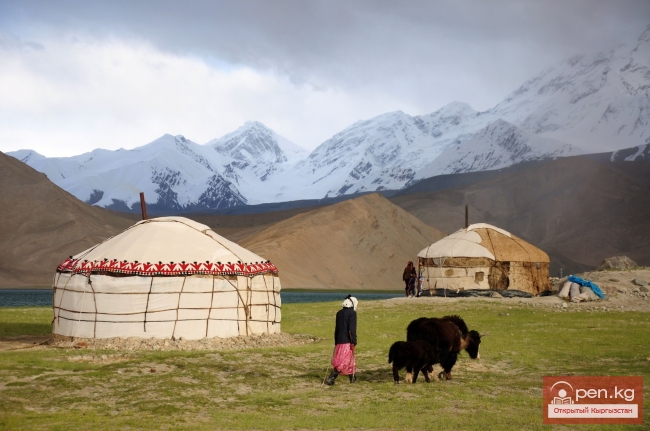 Фильм о Кыргызстане покажут по всемирно известным телеканалам Discovery и BBC