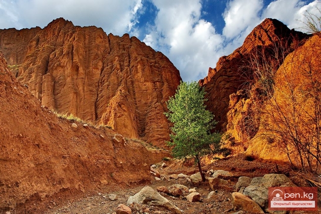 Красные скалы Кызыл Коргон