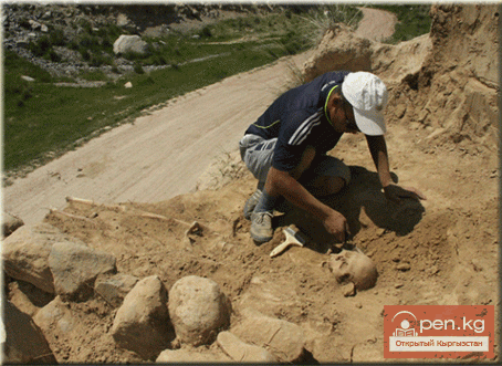 Археологические экспедиции исторического музея Археологические экспедиции исторического музея