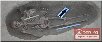 Археологические экспедиции исторического музея Археологические экспедиции исторического музея