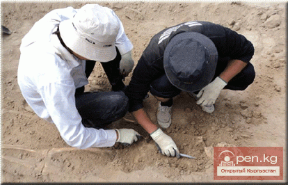 Археологические экспедиции исторического музея Археологические экспедиции исторического музея