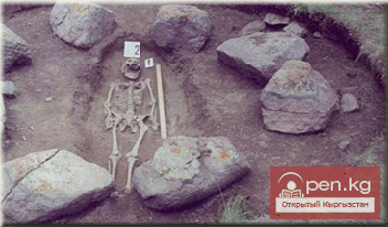 Археологические экспедиции исторического музея Археологические экспедиции исторического музея