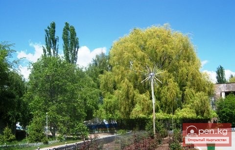 Гостевой дом "Аалам-клуб"