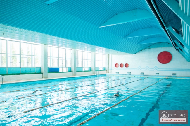 Бассейн «ДСК»