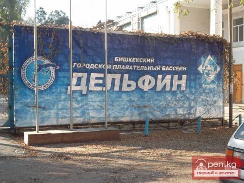 Бассейн «Дельфин»