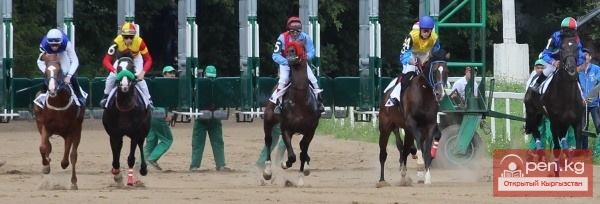 Кыргызстанец выиграл серебро на этапе Кубка мира наездников и жокеев Кыргызстанец выиграл серебро на этапе Кубка мира наездников и жокеев