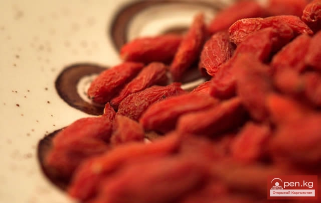 Способ получения краски древними кыргызами