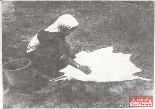 Процесс выделки овчины