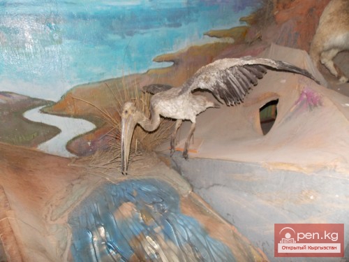 Кочкорский историко-краеведческий музей