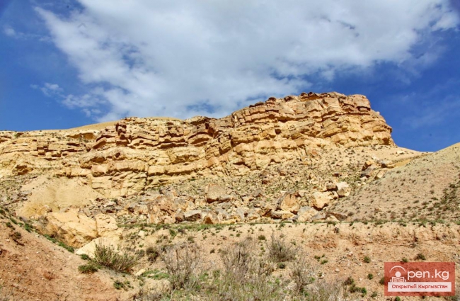 Сары-Тоо Баткенской области
