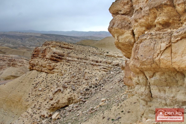 Сары-Тоо Баткенской области