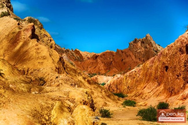 Южный берег Иссык Куля