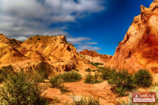 Южный берег Иссык Куля