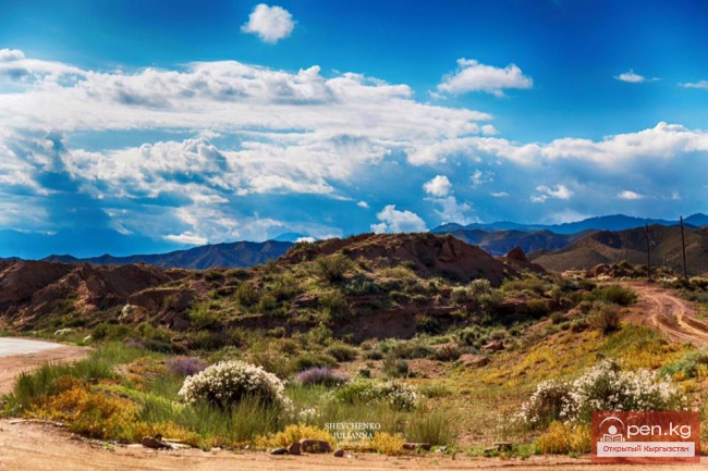 Южный берег Иссык Куля