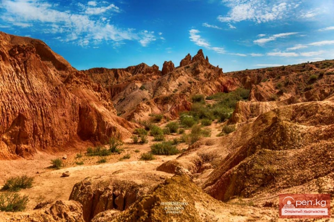 Южный берег Иссык Куля