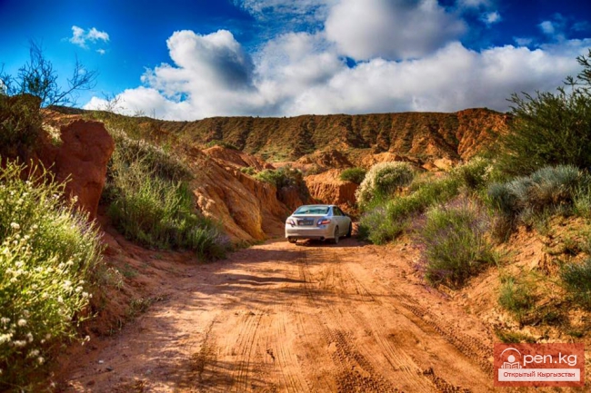 Южный берег Иссык Куля