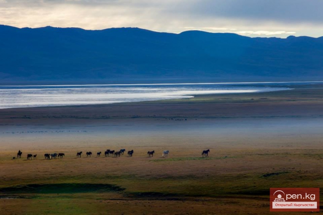 Озеро Сон-куль