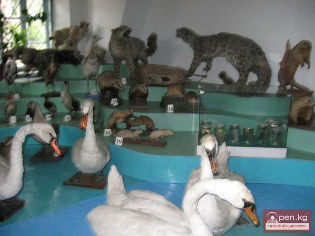 Каракольский историко-краеведческий музей