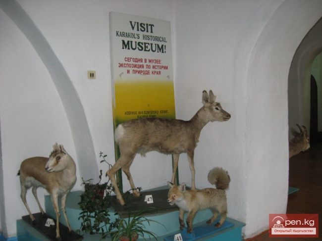 Каракольский историко-краеведческий музей (фото)