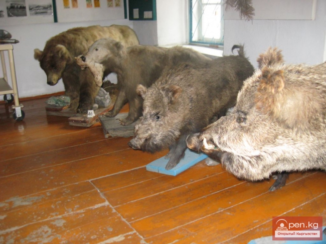 Каракольский историко-краеведческий музей (фото)