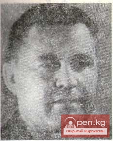 Поэт, переводчик Николай Имшенецкий