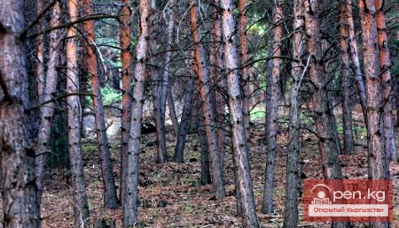 Ущелье Кегеты и озеро Кёл-Тор Ущелье Кегеты и озеро Кёл-Тор