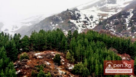 Ущелье Кегеты и озеро Кёл-Тор Ущелье Кегеты и озеро Кёл-Тор