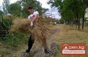 Парк «Ататюрк» должен быть местом отдыха и умиротворения горожан. Так ли это?