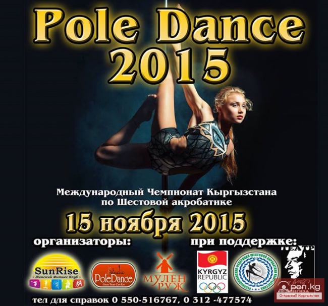 VI Международный чемпионат по шестовой акробатике