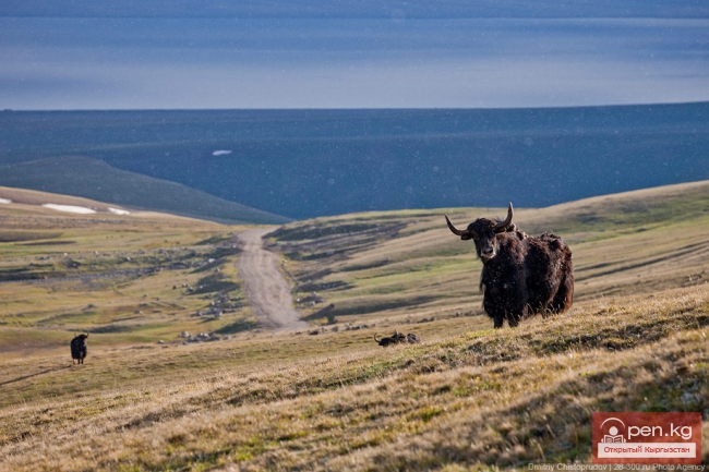 Дорога к озеру Сон-Куль
