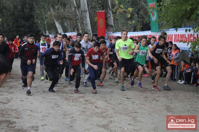Осенний кросс в «Карагачах»
