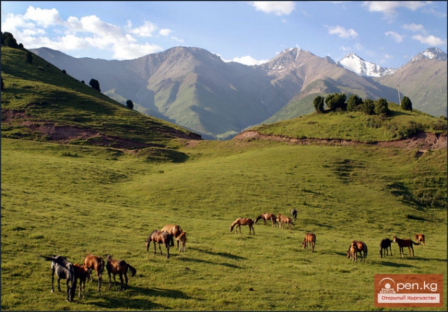 Использование пастбищ кыргызами