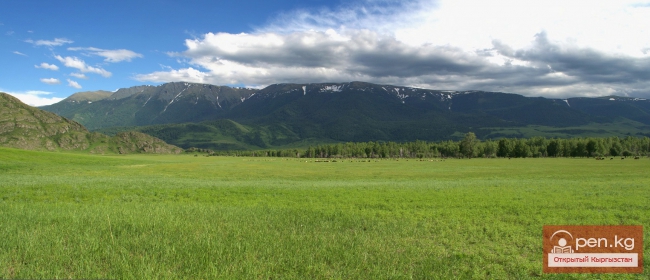 Качества пастбищных трав
