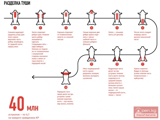 Как правильно разделать барана