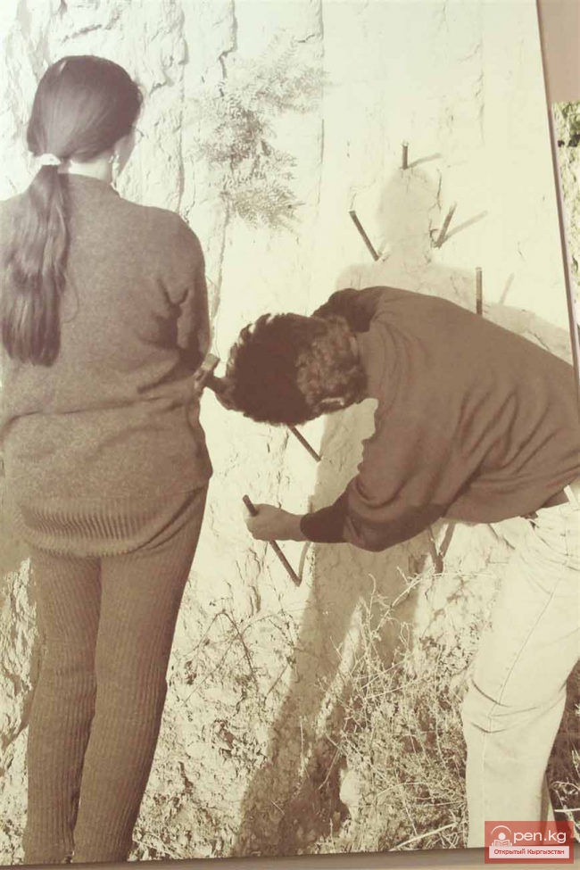 «TOPOGRAFICA» устанавливает связи