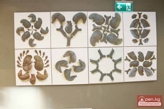 «TOPOGRAFICA» устанавливает связи