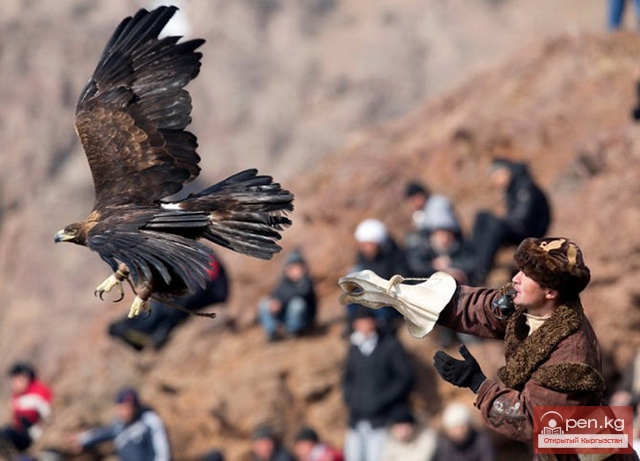 Киргизские охотничьи ловчие птицы Киргизские охотничьи ловчие птицы