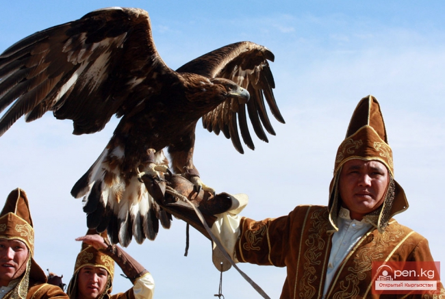 Кыргызская практическая орнитология